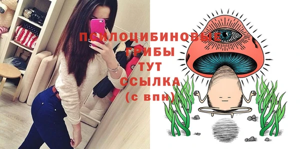 спиды Зеленокумск