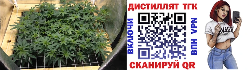 Дистиллят ТГК концентрат Медвежьегорск