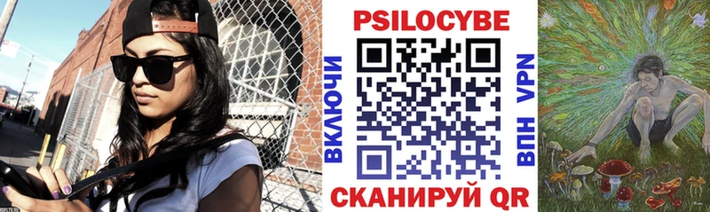 MEGA tor где купить наркоту Медвежьегорск Галлюциногенные грибы Magic Shrooms